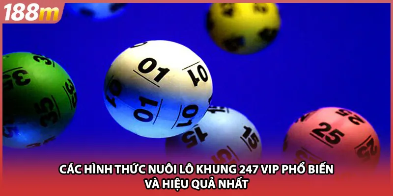 Các hình thức nuôi lô khung 247 vip phổ biến và hiệu quả nhất