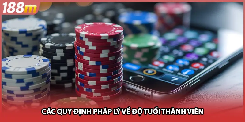 Các quy định pháp lý về độ tuổi thành viên