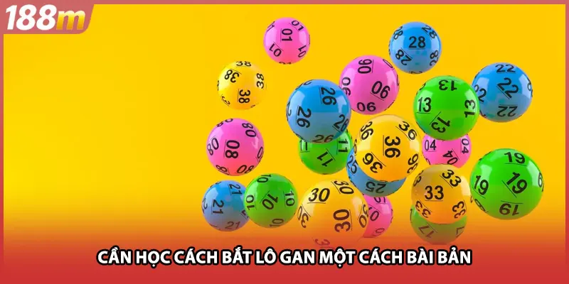 Cần học cách bắt lô gan một cách bài bản