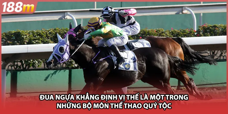 Đua ngựa khẳng định vị thế là một trong những bộ môn thể thao quý tộc