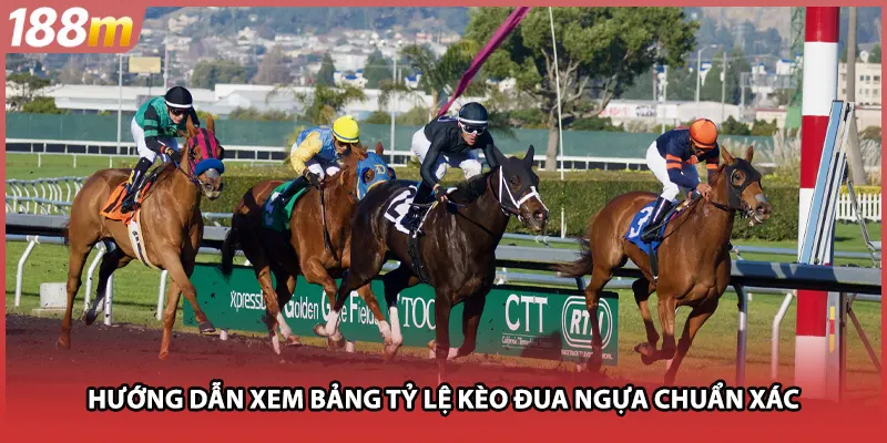 Hướng dẫn xem bảng tỷ lệ kèo đua ngựa chuẩn xác
