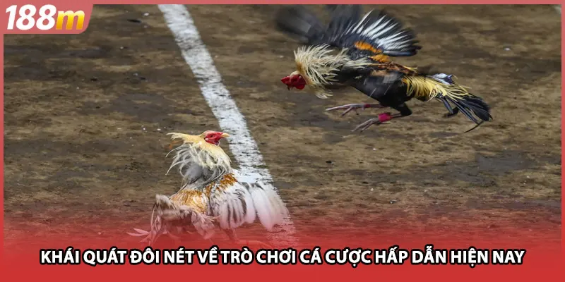 Tổng quan đôi nét về trò chơi cá cược đang được yêu thích hiện nay