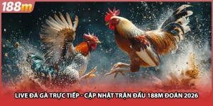Live Đá Gà Trực Tiếp - Cập Nhật Trận Đấu TẠI 188M